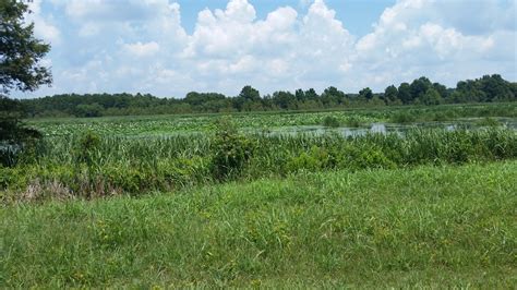 Yazoo National Wildlife Refuge - Go Wandering