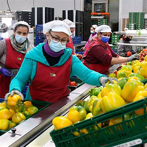 Bio Sol Portocarrero Comercializadora de productos hortofrutícolas