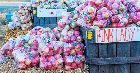 Georgia Apple Festival Fruit Festival In Ellijay Where What When