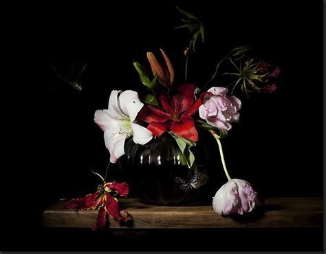 Bas Meeuws Contemporary Dutch Flower Still Life Photography Still Life Photography Still