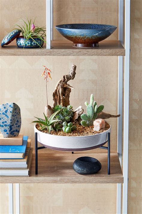 Dish Garden Projects That Bring The Outdoors Inside Succulent