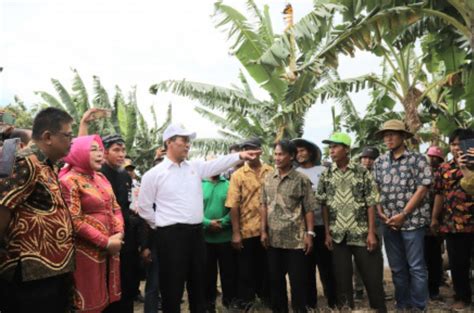 Tambahan Anggaran Peningkatan Produksi Dan Pupuk Bersubsidi Aman