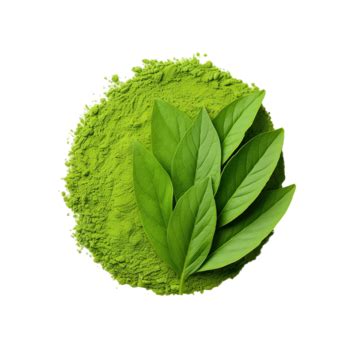 Matcha Leaf PNG Transparent Images Free Download | Vector Files | Pngtree