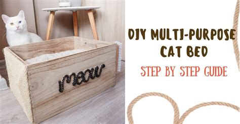 DIY Multipurpose Cat Bed - diy Thought