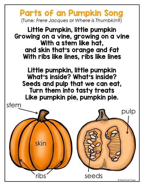 Parts of a Pumpkin Free Printable - Primary Theme Park