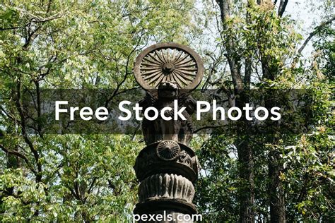 Sarnath Pillar Photos, Download The BEST Free Sarnath Pillar Stock Photos & HD Images