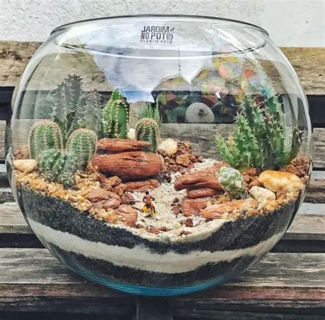 Cactos E Suculentas Inspira Es Lind Ssimas Para O Seu Jardim