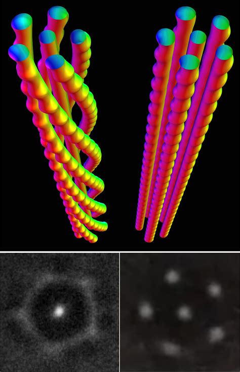 Scientists Discover New Physical Phenomenon Complex Braided Structures