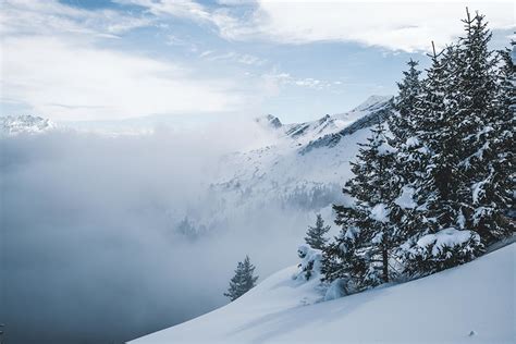 Rheintal Vom Nebel Verdeckt Fotos Hikr Org