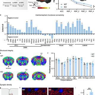 Differential Alterations In Long And Short Range Excitatory Inputs In