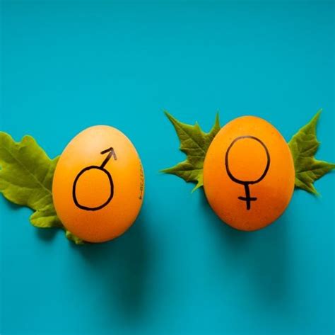 Understanding Gender And Sexuality Through A Jewish Lens Hybrid