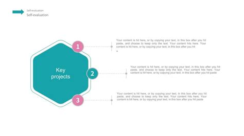 Diagram Of The Structure Of Hexagonal Structure Google Slide Theme And