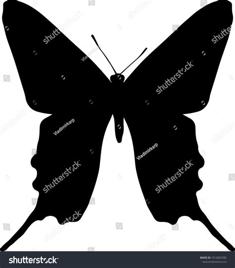 Vector Black Silhouette Butterfly Isolated On Stock Vector Royalty