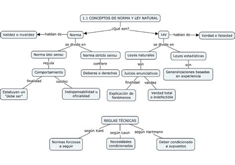 Mapa Conceptual Derechos Fundamentales Studocu Images And Photos Finder