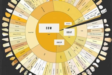 Food Infographic: Kinds of Cheese