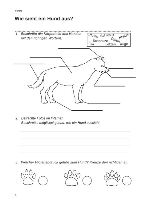 Grundschule Unterrichtsmaterial Natur Mensch Gesellschaft Heimtiere