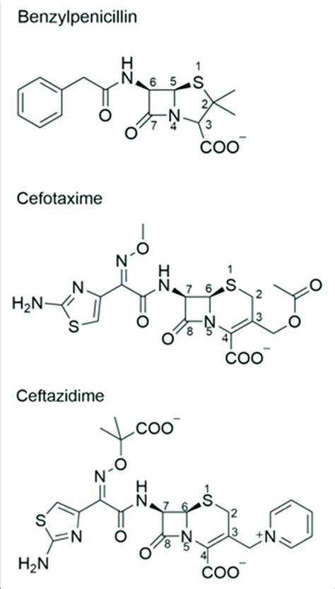 Chemical Structures Of Lactam Antibiotics Benzylpenicillin And The