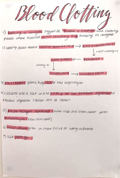 A Level Biology Revision Study Flashcards Biology Revision Study