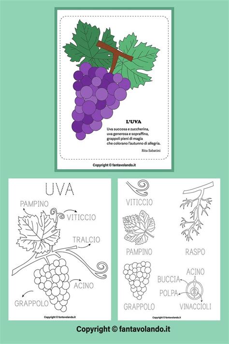 Autunno Scopriamo L Uva Schede E Poesia Uvas Manualidades Vendimia