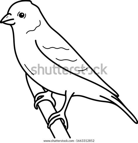 Eastern Goldfinch Iowa State Symbol Vector Stock Vector (Royalty Free ...