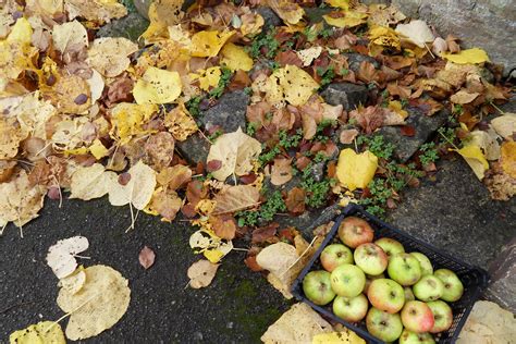 Hindon Happenings | Happenings & Goings On In The Pretty Wiltshire