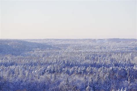 Premium Photo | A snowy landscape with a forest in the background