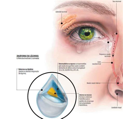 O Que Significa Dor No Olho Direito Sobre Os Olhos