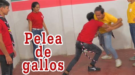 Asalto Cerebro Bueno juego de pelea de gallos de 2 jugadores Empuje ...