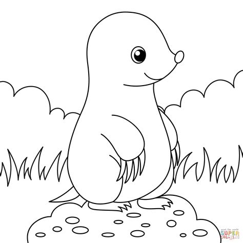 Cute Mole coloring page | Free Printable Coloring Pages