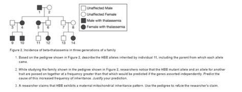 Solved Based On The Pedigree Shown In Figure 2 Describe Chegg