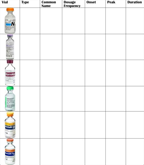 Insulin Types Diagram Quizlet