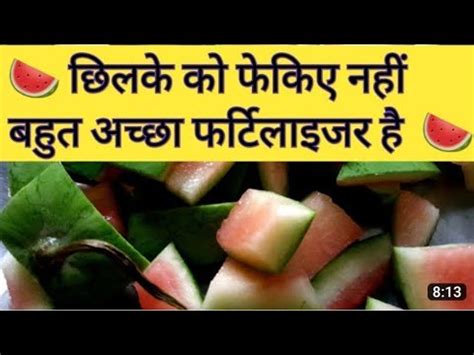 Best Watermelon Peel Fertilizer For Any Plant Tarbuz K Chilke Ki