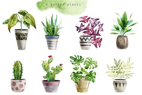 Indoor Plants Houseplants Watercolor Design Cuts