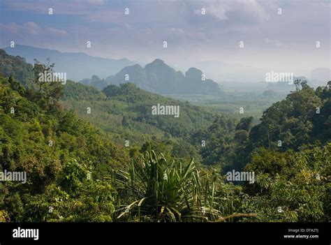 Mountain Landscape Khlong Sok National Park Ban Khao Ba Phang Nga