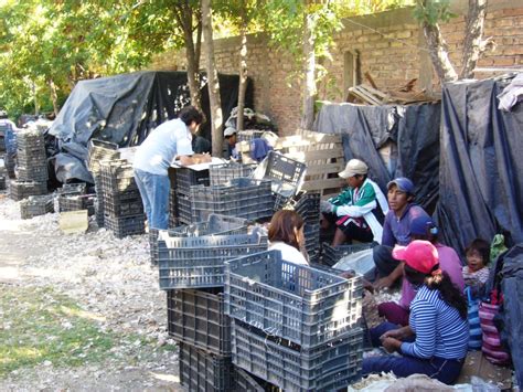 Desde El Conurbano La Afip Detect Un Predio Rural En Mendoza Donde