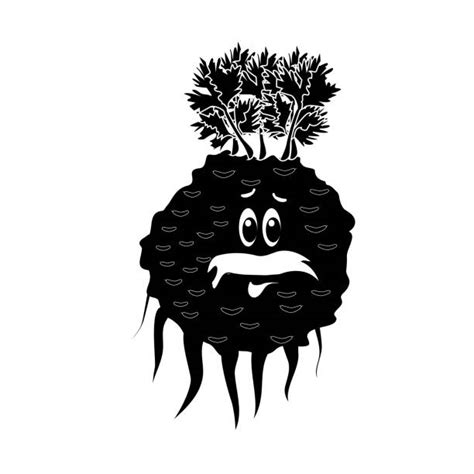 Funny Celery Silhouette Stock Photos Pictures And Royalty Free Images