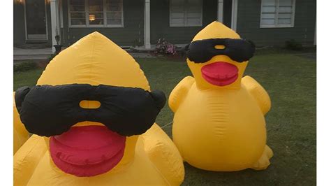 Ccha To Host Second Annual Duck Derby Lagrange Daily News Lagrange Daily News