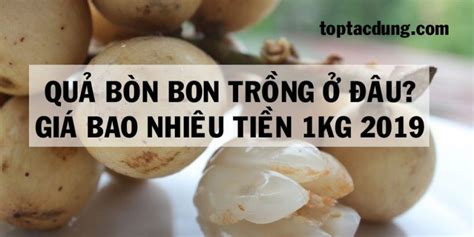 Quả Bòn Bon Trồng Ở Đâu? Giá Bao Nhiêu Tiền 1kg 2020? - Top Tac Dung