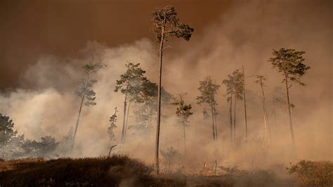 Us West Coast Fires Smoke Spreads To New York And Washington Bbc News