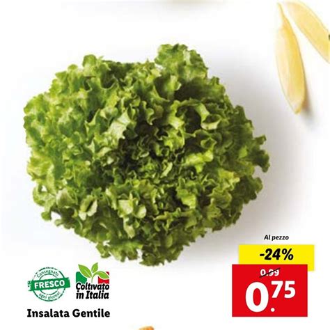 Insalata Gentile Offerta Di Lidl