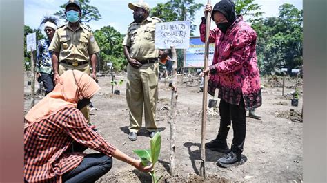 Ke Papua Mensos Risma Salurkan Bantuan Rp M Foto Tempo Co