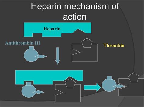 Heparin Mechanism Of Action Antithrombin Iii Normal Range - IMAGESEE