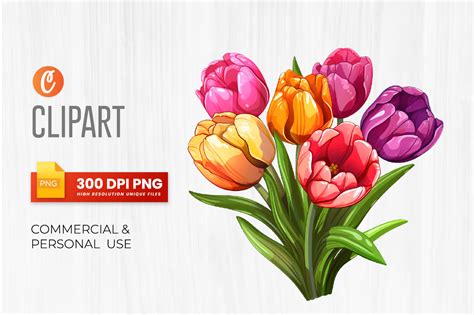 Watercolor Tulips Flowers Clipart Bundle Graphic By Crafticy Creative