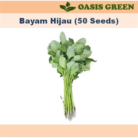 Biji Benih Vegetable Seed Flower Seeds Sayurbungabuah Bendi