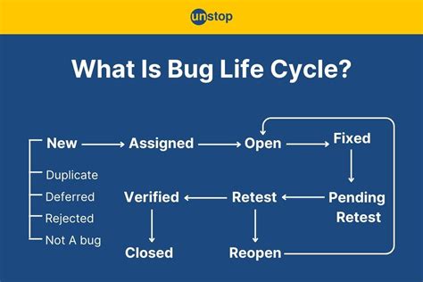 Bug Life Cycle | A Comprehensive Guide For All // Unstop