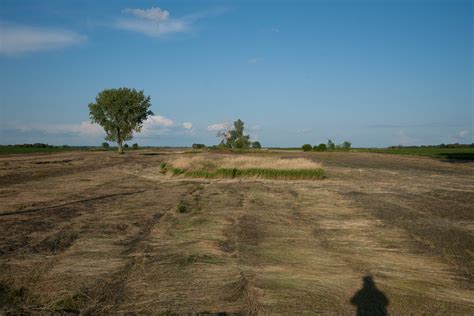 Online bail payments will soon link to the richland county nd jail roster 31