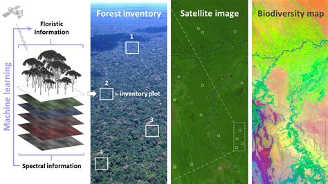 Using Remote Sensing To Map Tree Species Distributions And Communities