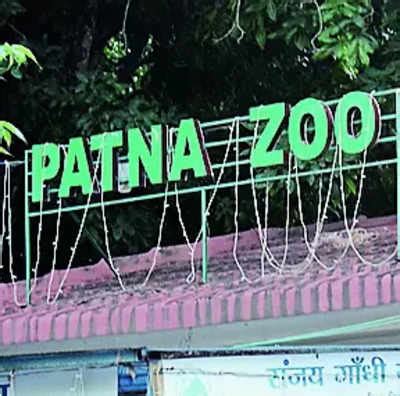 Rabies: Patna Zoo To Openat 6am From Today | Patna News - Times of India