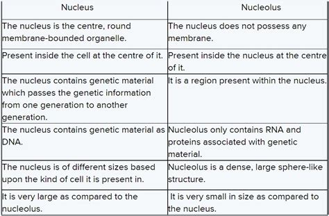 Cell Wall And Cell Membrane Difference