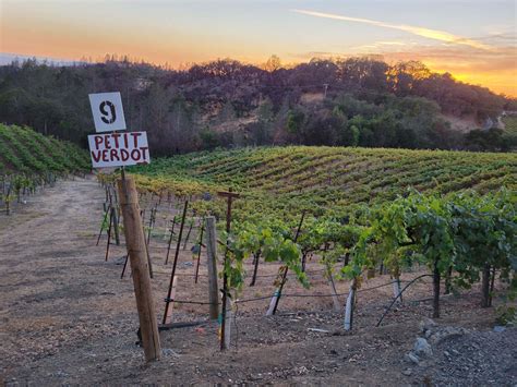 Gallery | Laguna Canyon Winery